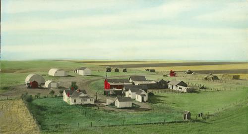 A colorized aerial view of the Nelson’s Triangle N Farms circa 1958.